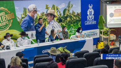 Photo of Inició programa para el establecimiento de 150 hectáreas de Plátano en Casanare