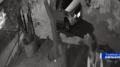 Photo of Video | Mujer enfrentó a ladrones he intentó frustrar robo en Yopal