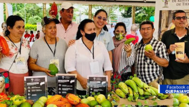 Photo of Cien familias restituidas del Meta garantizan comercialización  de sus cosechas