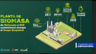 Photo of Construirán planta de biomasa en Casanare para surtir de energía a Ecopetrol