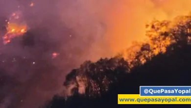 Photo of Casanare Enfrentó Devastadores Incendios Forestales en Medio de la Sequía