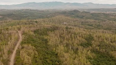 Photo of URT ha restituido 35.674 hectáreas y financia 1.156 proyectos productivos y programas de seguridad alimentaria