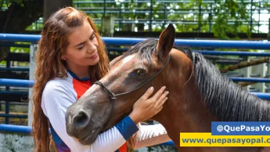 Photo of Yopal entrega 25 equinos en adopción como parte del Plan Padrino