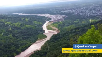 Photo of Yopal radica ambicioso proyecto agroforestal para proteger recursos hídricos