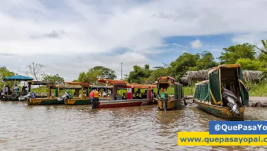Photo of Grupo Ecopetrol tendrá cinco nuevas Ecoreservas en Casanare, Boyacá y Santander