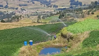 Photo of Tragedia en Siachoque: Madre e hijos mueren ahogados en reservorio de agua